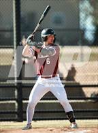 Photo from the gallery "Windsor @ Roosevelt"