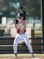 Photo from the gallery "Windsor @ Roosevelt"