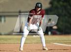 Photo from the gallery "Windsor @ Roosevelt"
