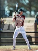 Photo from the gallery "Windsor @ Roosevelt"