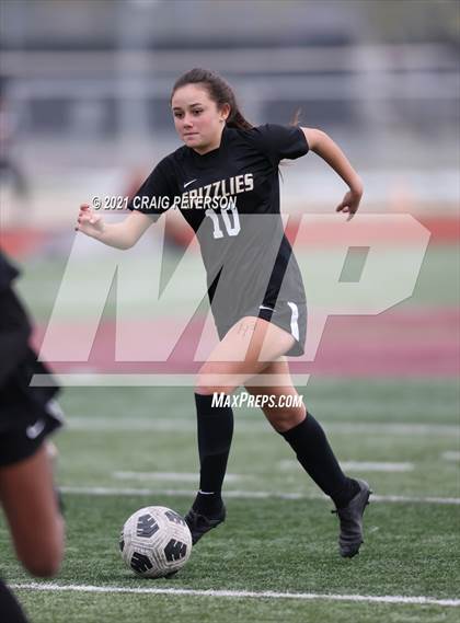 Thumbnail 1 in Pine View vs Logan (UHSAA 4A First Round) photogallery.