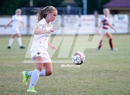 Thumbnail 1 in David Crockett @ Dobyns-Bennett photogallery.