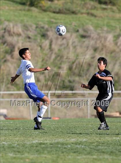 Thumbnail 1 in Bethel @ Benicia photogallery.