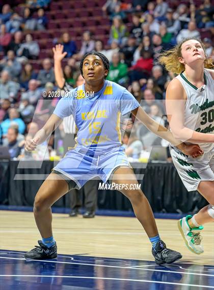 Thumbnail 1 in Kolbe-Cathedral vs. Northwest Catholic (CIAC Class S Final) photogallery.