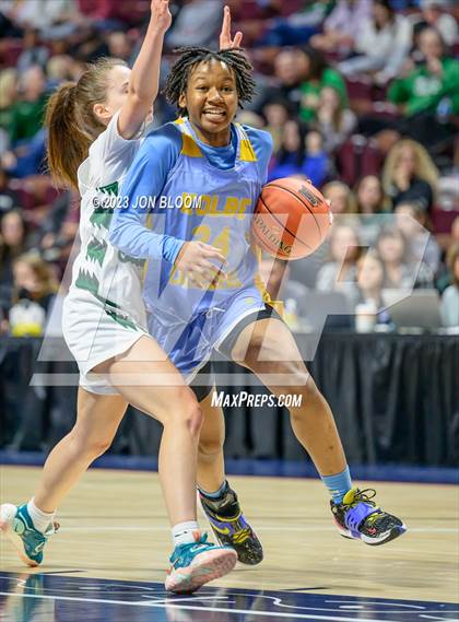 Thumbnail 1 in Kolbe-Cathedral vs. Northwest Catholic (CIAC Class S Final) photogallery.