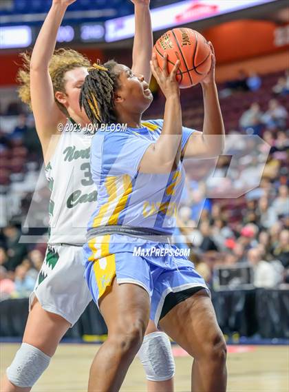 Thumbnail 2 in Kolbe-Cathedral vs. Northwest Catholic (CIAC Class S Final) photogallery.