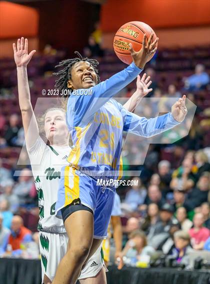Thumbnail 1 in Kolbe-Cathedral vs. Northwest Catholic (CIAC Class S Final) photogallery.