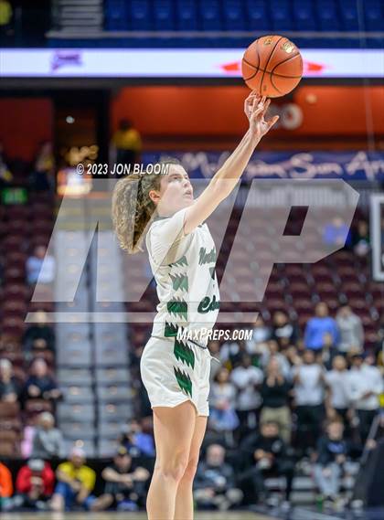 Thumbnail 3 in Kolbe-Cathedral vs. Northwest Catholic (CIAC Class S Final) photogallery.