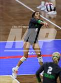 Photo from the gallery "Lutheran vs. Niwot (CHSAA 4A Contenders First Round)"