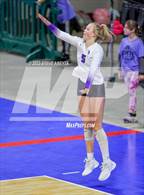 Photo from the gallery "Lutheran vs. Niwot (CHSAA 4A Contenders First Round)"