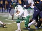 Photo from the gallery "Monterey Trail @ Inderkum"
