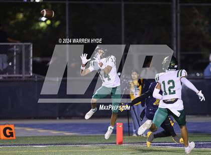 Thumbnail 2 in Monterey Trail @ Inderkum photogallery.