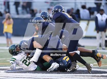 Thumbnail 3 in Monterey Trail @ Inderkum photogallery.