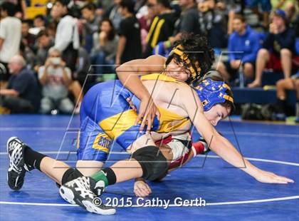 Thumbnail 3 in CIF SCVAL Wrestling Finals photogallery.