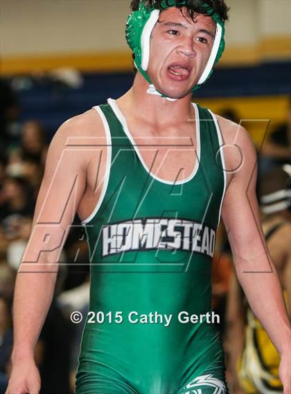 Thumbnail 1 in CIF SCVAL Wrestling Finals photogallery.