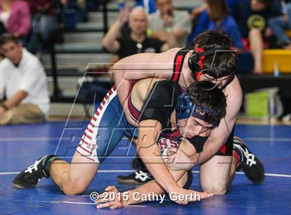 Thumbnail 3 in CIF SCVAL Wrestling Finals photogallery.