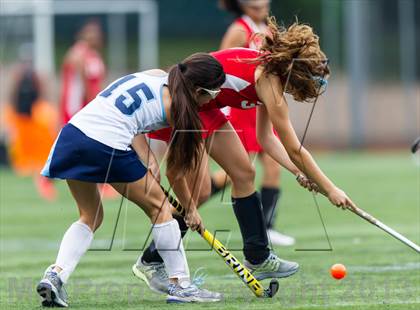 Thumbnail 3 in McLean @ Yorktown photogallery.