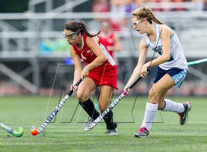 Thumbnail 3 in McLean @ Yorktown photogallery.