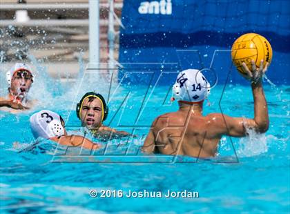 Thumbnail 1 in Brandeis vs 410 Green (Alamo Area Aquatics Association Round Robin) photogallery.