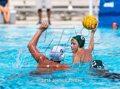 Thumbnail 3 in Brandeis vs 410 Green (Alamo Area Aquatics Association Round Robin) photogallery.