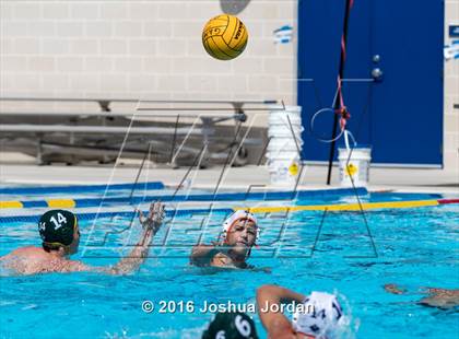 Thumbnail 2 in Brandeis vs 410 Green (Alamo Area Aquatics Association Round Robin) photogallery.