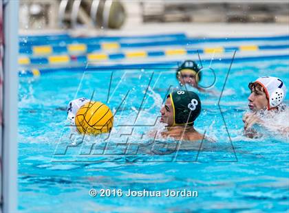Thumbnail 2 in Brandeis vs 410 Green (Alamo Area Aquatics Association Round Robin) photogallery.