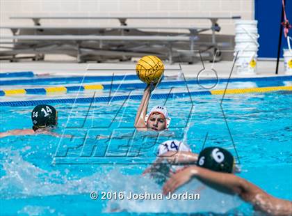 Thumbnail 1 in Brandeis vs 410 Green (Alamo Area Aquatics Association Round Robin) photogallery.