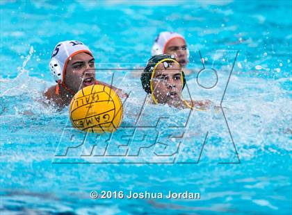 Thumbnail 1 in Brandeis vs 410 Green (Alamo Area Aquatics Association Round Robin) photogallery.