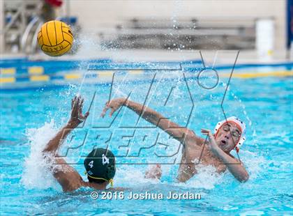 Thumbnail 2 in Brandeis vs 410 Green (Alamo Area Aquatics Association Round Robin) photogallery.