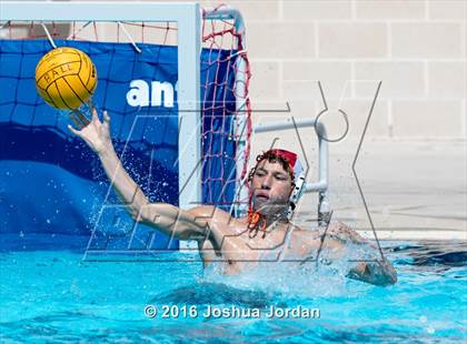 Thumbnail 1 in Brandeis vs 410 Green (Alamo Area Aquatics Association Round Robin) photogallery.