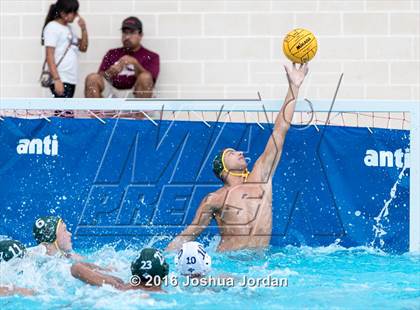 Thumbnail 3 in Brandeis vs 410 Green (Alamo Area Aquatics Association Round Robin) photogallery.