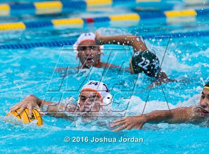 Thumbnail 2 in Brandeis vs 410 Green (Alamo Area Aquatics Association Round Robin) photogallery.