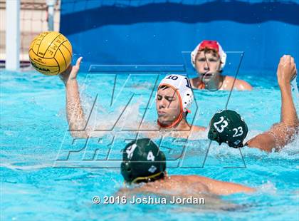 Thumbnail 2 in Brandeis vs 410 Green (Alamo Area Aquatics Association Round Robin) photogallery.