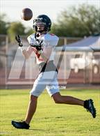 Photo from the gallery "Palm Desert @ Central"