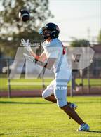 Photo from the gallery "Palm Desert @ Central"