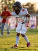 Photo from the gallery "Palm Desert @ Central"
