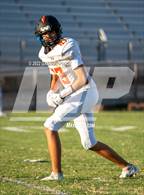 Photo from the gallery "Palm Desert @ Central"