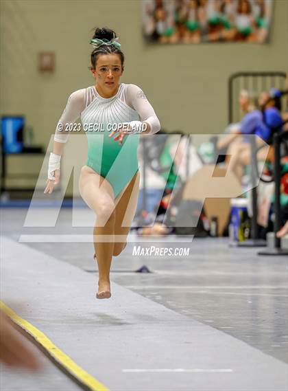 Thumbnail 2 in GHSA Gymnastics photogallery.