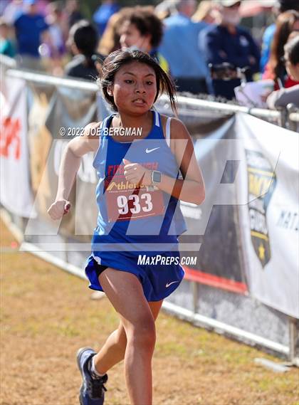 Thumbnail 2 in CIF Central Section Cross Country Championships (Girls D4 Race) photogallery.