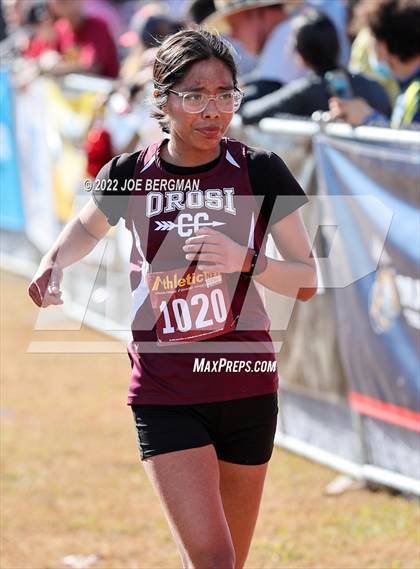 Thumbnail 1 in CIF Central Section Cross Country Championships (Girls D4 Race) photogallery.