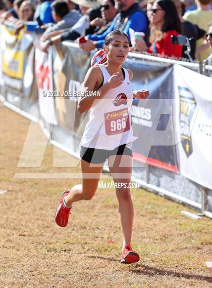 Thumbnail 3 in CIF Central Section Cross Country Championships (Girls D4 Race) photogallery.