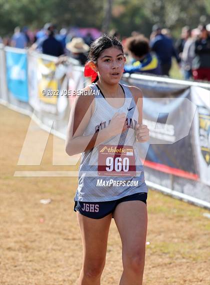 Thumbnail 1 in CIF Central Section Cross Country Championships (Girls D4 Race) photogallery.