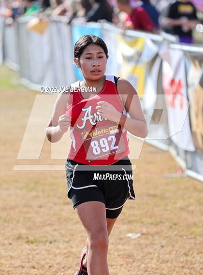 Thumbnail 1 in CIF Central Section Cross Country Championships (Girls D4 Race) photogallery.