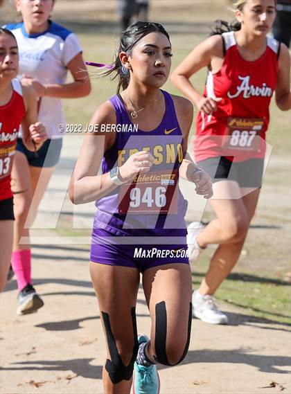 Thumbnail 1 in CIF Central Section Cross Country Championships (Girls D4 Race) photogallery.
