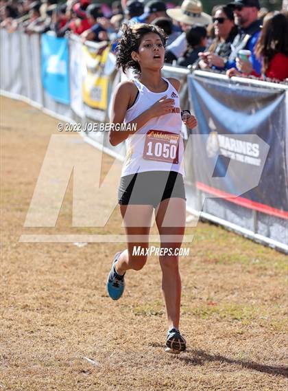 Thumbnail 1 in CIF Central Section Cross Country Championships (Girls D4 Race) photogallery.