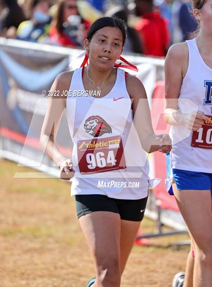 Thumbnail 2 in CIF Central Section Cross Country Championships (Girls D4 Race) photogallery.