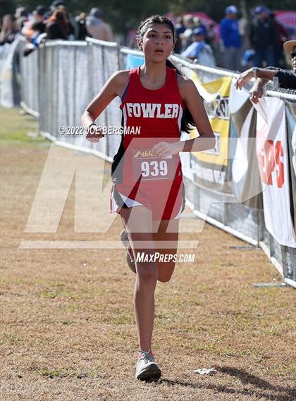 Thumbnail 1 in CIF Central Section Cross Country Championships (Girls D4 Race) photogallery.