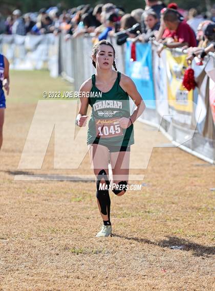 Thumbnail 2 in CIF Central Section Cross Country Championships (Girls D4 Race) photogallery.