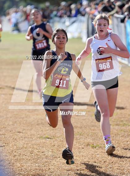 Thumbnail 1 in CIF Central Section Cross Country Championships (Girls D4 Race) photogallery.