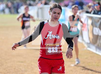 Thumbnail 2 in CIF Central Section Cross Country Championships (Girls D4 Race) photogallery.